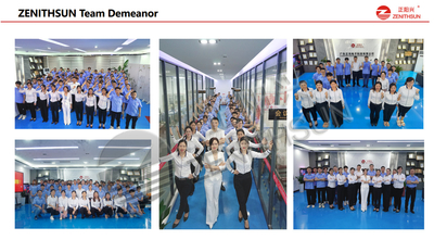 Shenzhen Zenithsun Electronics Tech.CO.,LTD